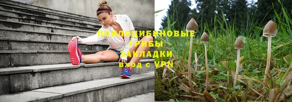 прущая мука Аркадак